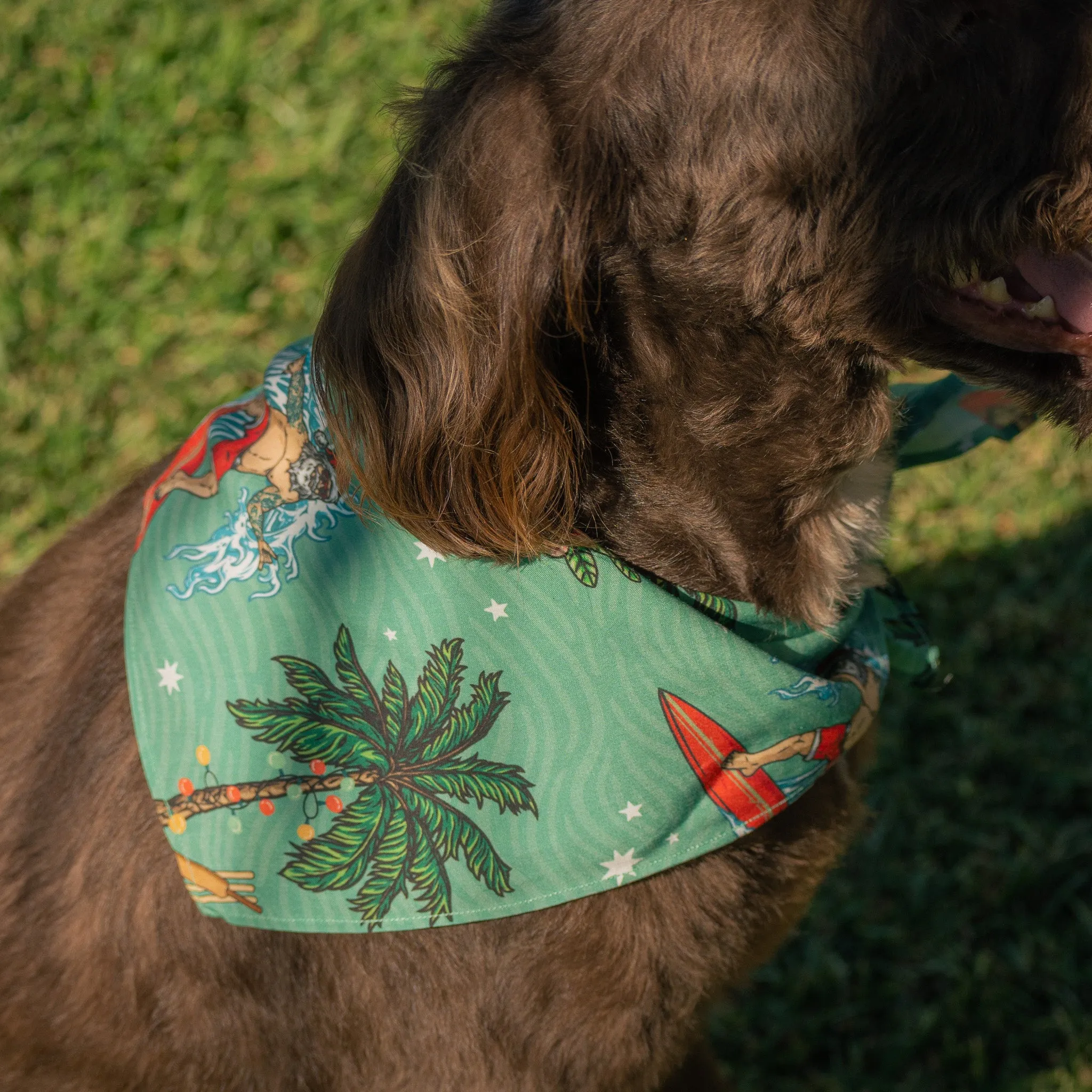 Aussie Christmas Green - Dog Bandana