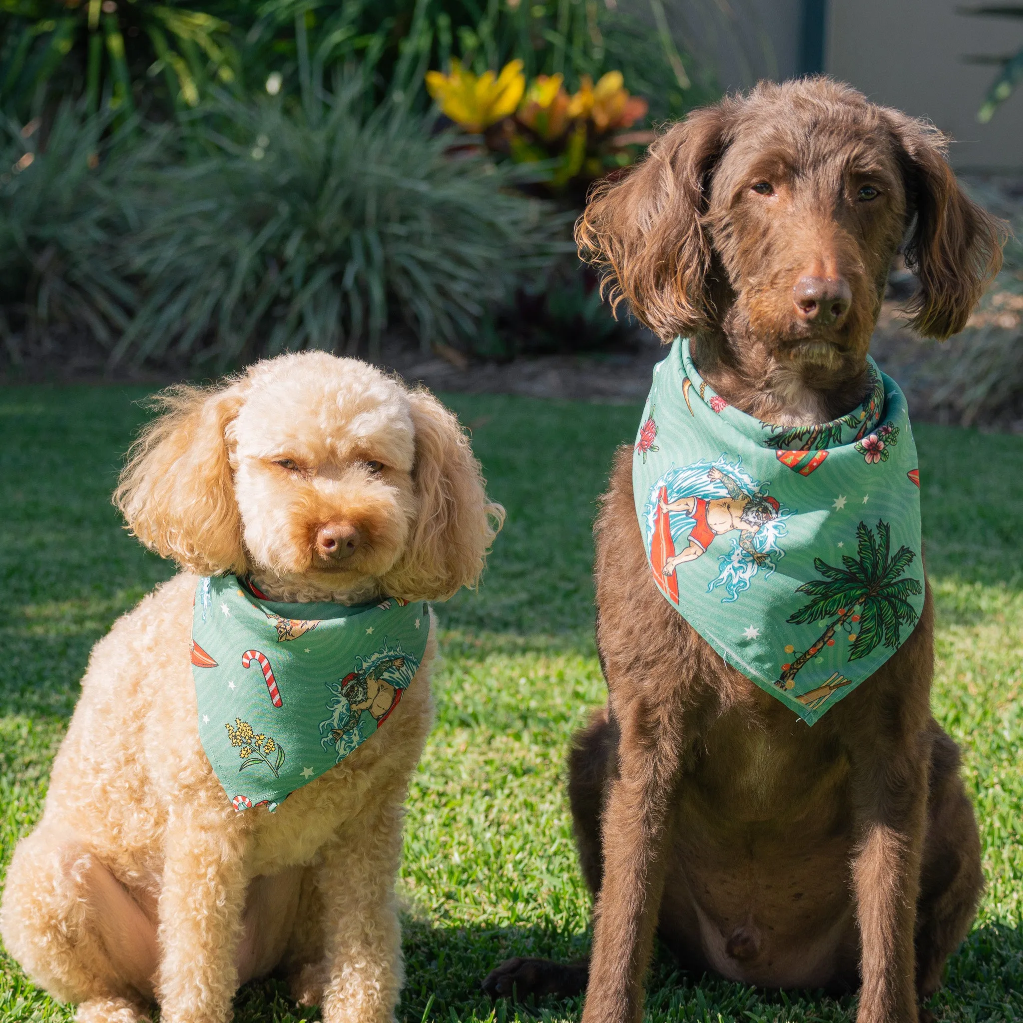 Aussie Christmas Green - Dog Bandana