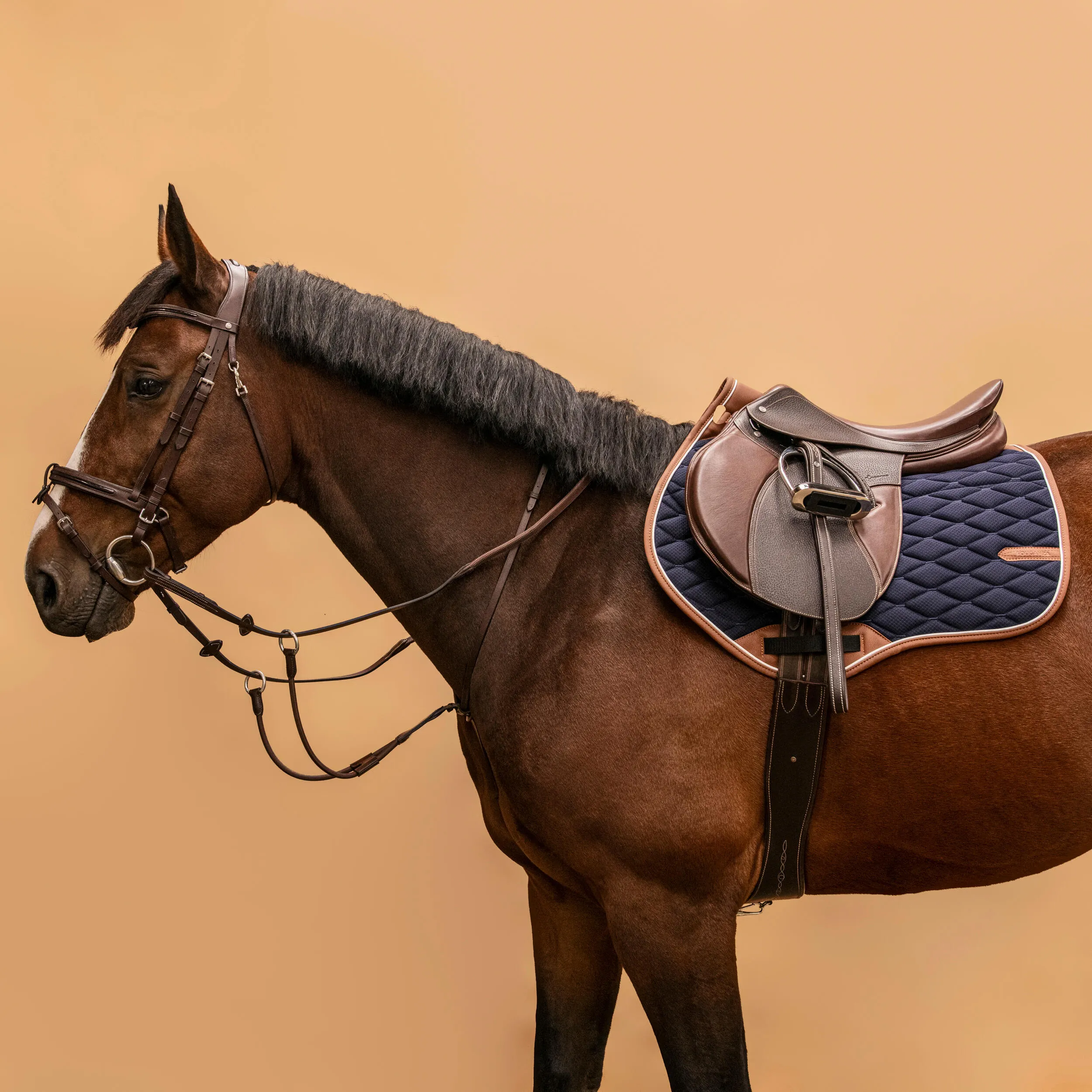 Fouganza martingale for horse and pony, dark brown