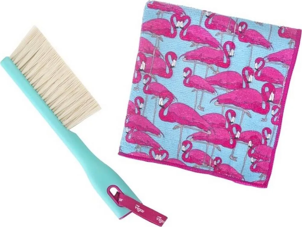 Vigar Beach Towel & Brush Set